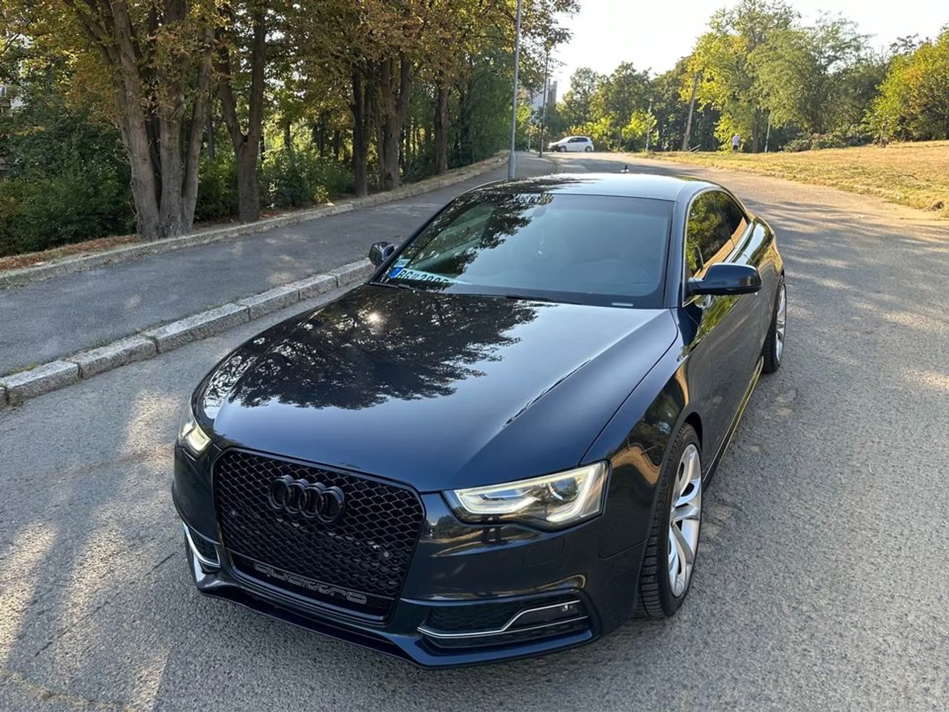 Audi S5 3.0TFSI 16.500 € Benzin, 2013 god. Polovni automobili, polovan auto, prodajem auto na sajtu za polovne automobile prodajemauto.rs
