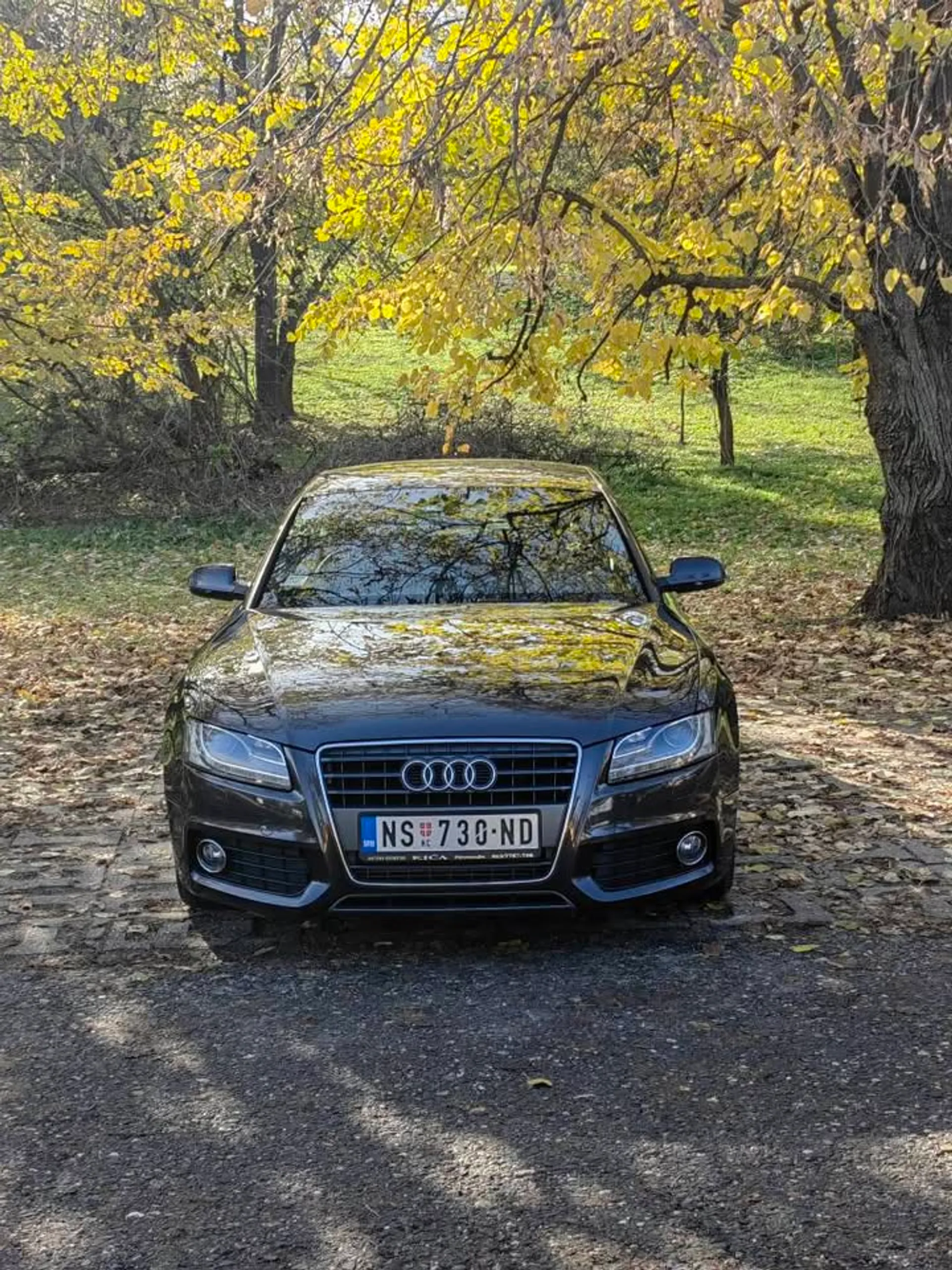 Audi A5 11.999 € Benzin, 2010 god. Polovni automobili, polovan auto, prodajem auto na sajtu za polovne automobile prodajemauto.rs