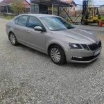 Škoda Octavia OCTAVIA FACELIFT AMBITION 2.0 TDI 11.800 € Dizel, 2018 god. Polovni automobili, polovan auto, prodajem auto na sajtu za polovne automobile prodajemauto.rs